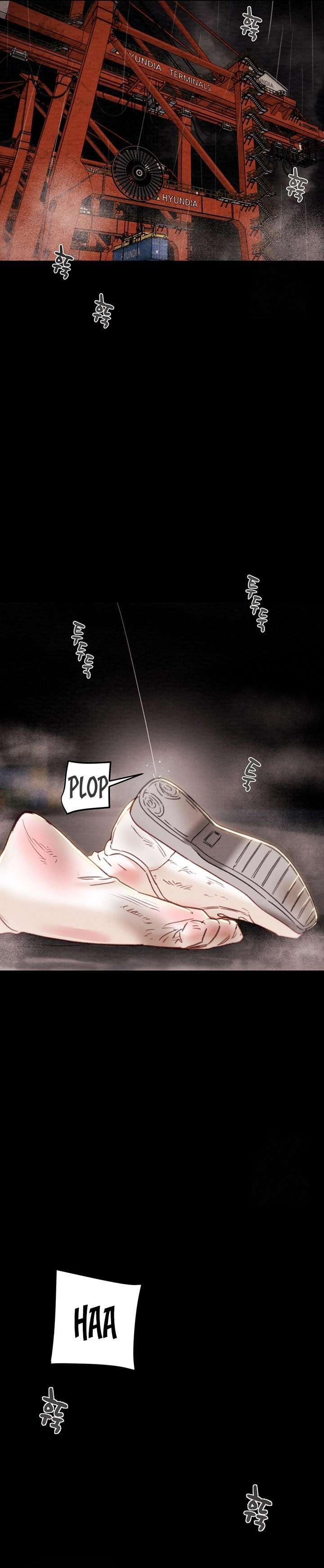 El Saqueador Capítulo 48 - Página 9