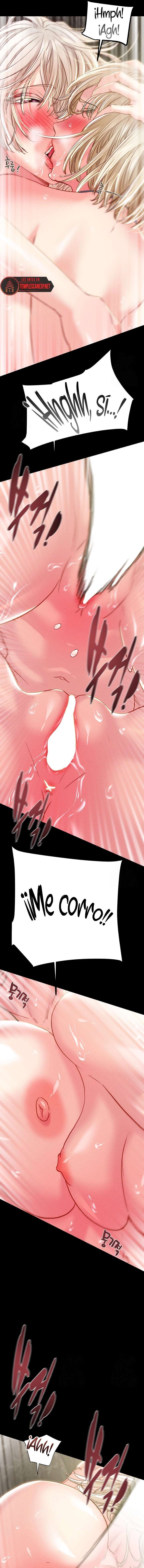 El Saqueador Capítulo 57 - Página 15