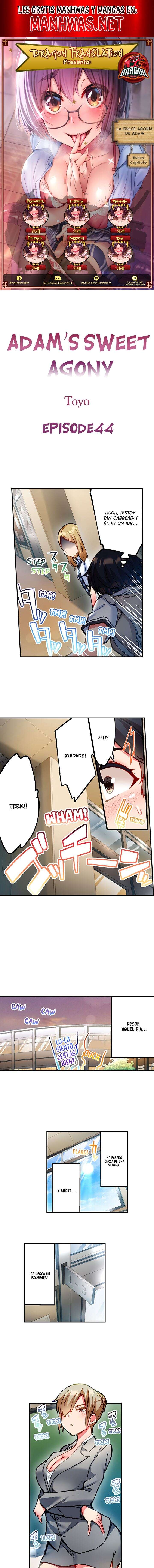 La dulce agonia de Adam Capítulo 44 - Página 1