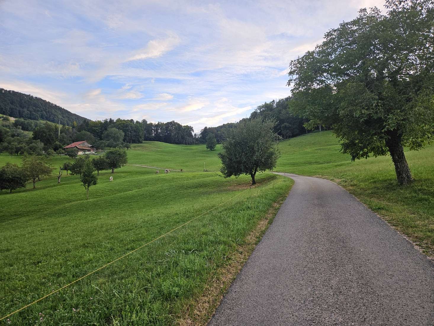 Rakujitsu no Pathos Capítulo 3 - Página 10