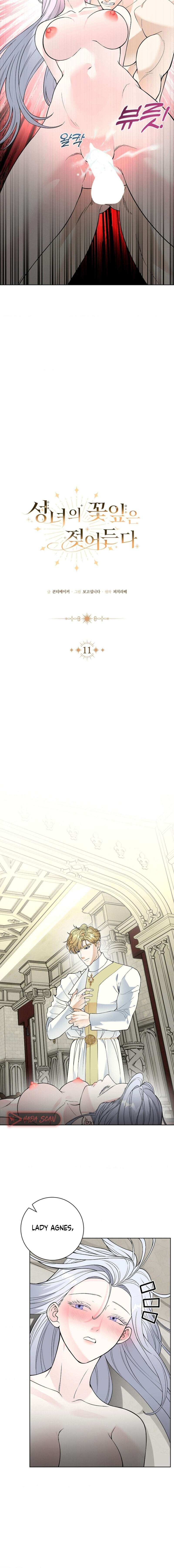 Los Pétalos de la Santa se humedecen Capítulo 11 - Página 5