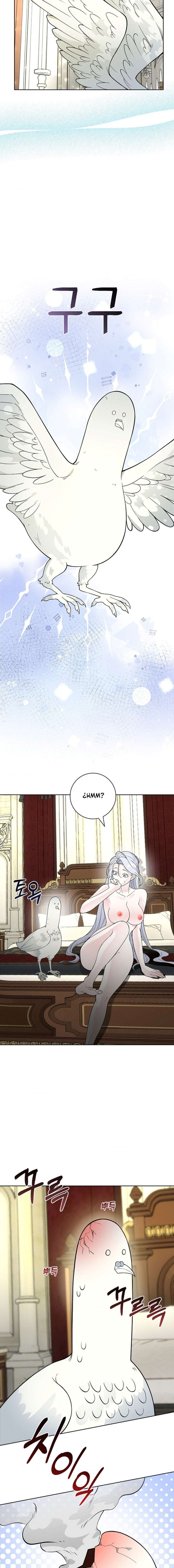 Los Pétalos de la Santa se humedecen Capítulo 11 - Página 8