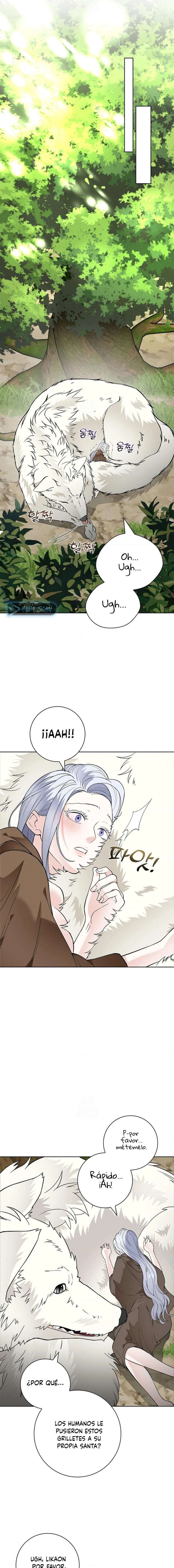 Los Pétalos de la Santa se humedecen Capítulo 15 - Página 13