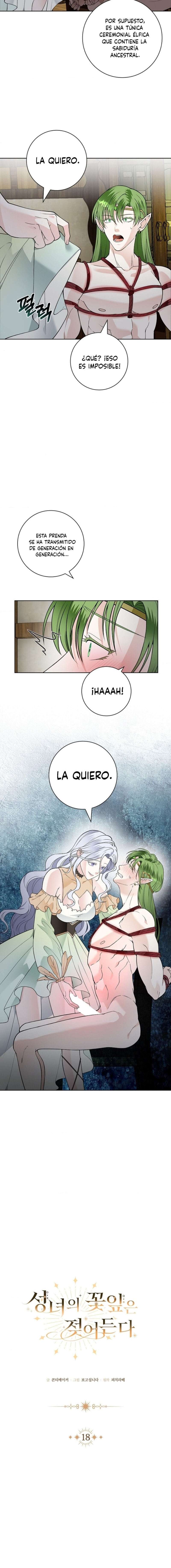 Los Pétalos de la Santa se humedecen Capítulo 18 - Página 5