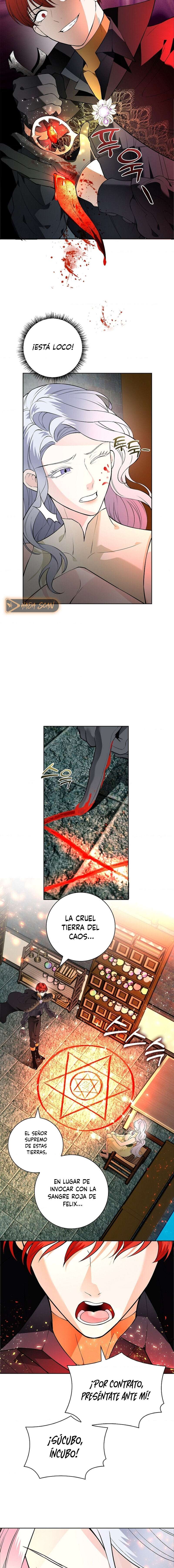 Los Pétalos de la Santa se humedecen Capítulo 20 - Página 13