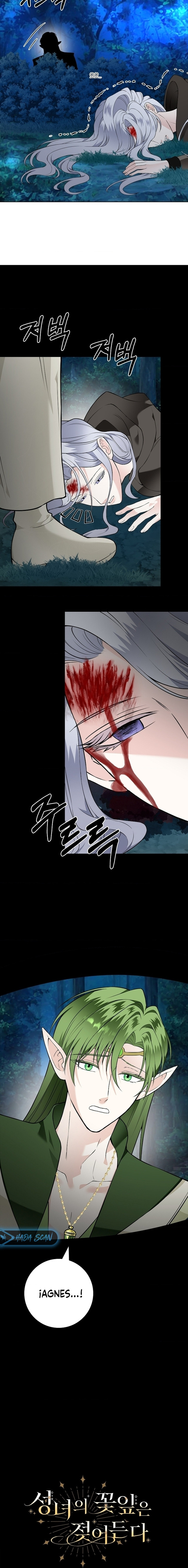 Los Pétalos de la Santa se humedecen Capítulo 30 - Página 6