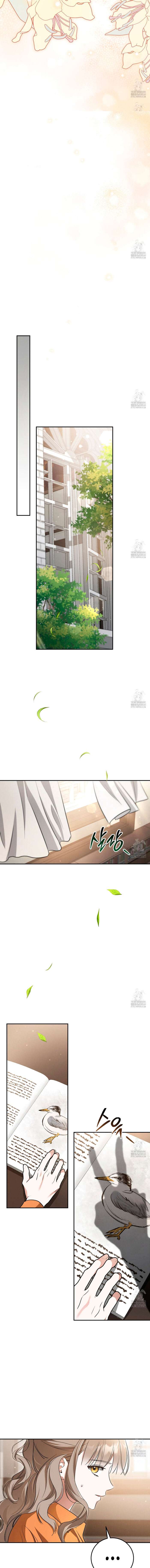 Amor Carcelario Capítulo 11 - Página 9