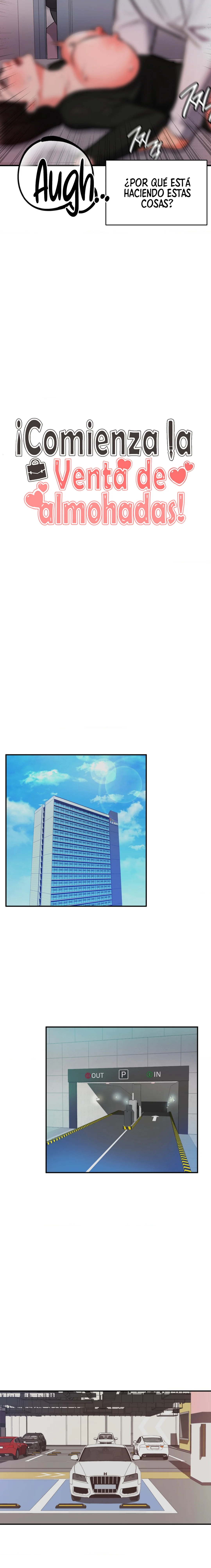 La venta de almohadas comienza en serio Capítulo 15 - Página 6