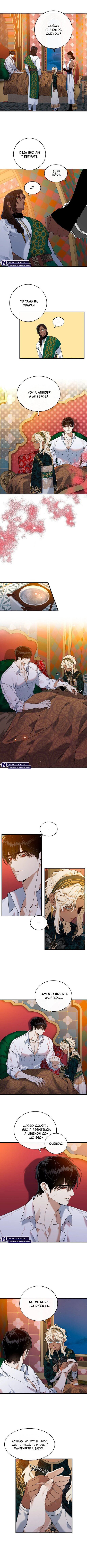 Flores de la noche Capítulo 4 - Página 5