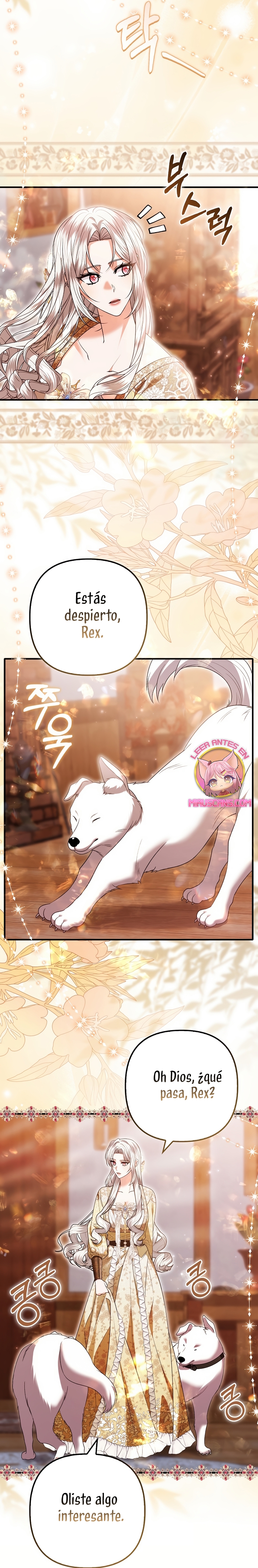 Como rechazar un matrimonio perfecto Capítulo 35 - Página 19