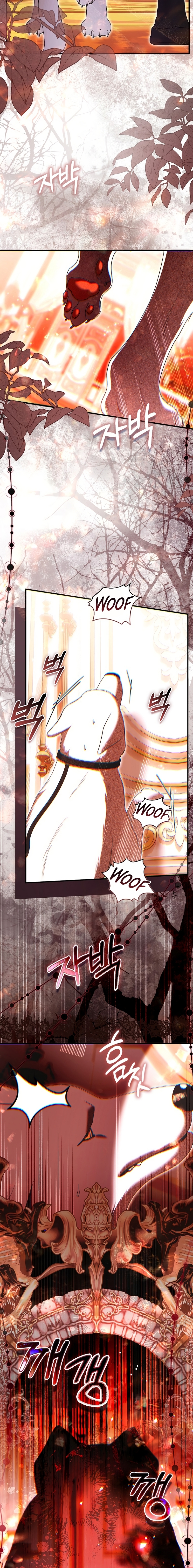 Como rechazar un matrimonio perfecto Capítulo 36 - Página 17