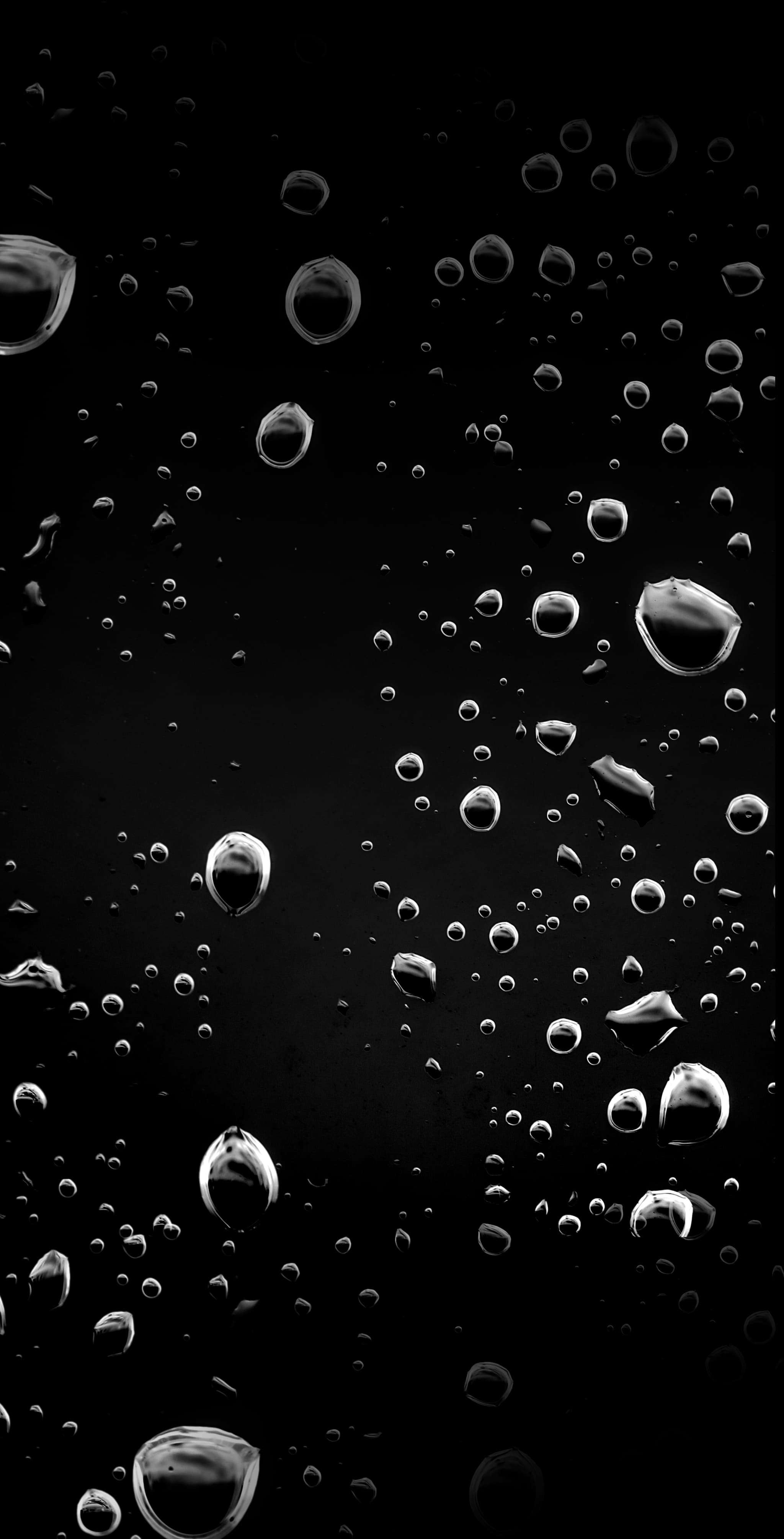 La Viuda de mi Vecina Capítulo 1 - Página 92