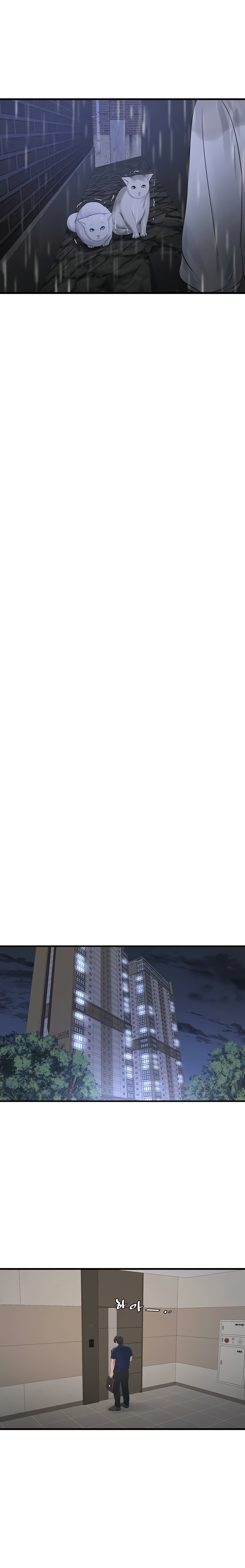 Diario de inspección de ajummas Capítulo 101 - Página 12