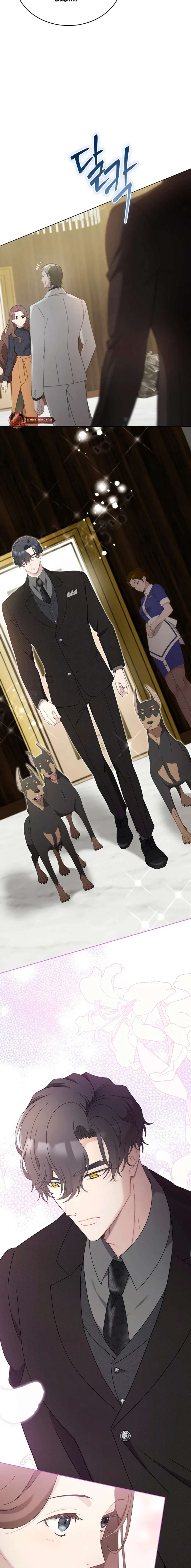 DOBERMAN Capítulo 12 - Página 15