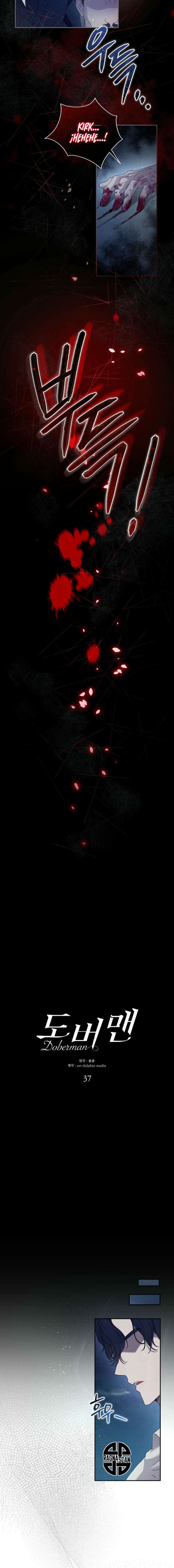 DOBERMAN Capítulo 37 - Página 10