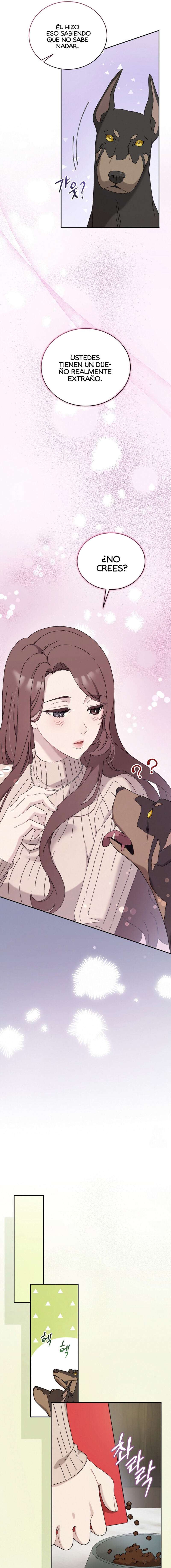 DOBERMAN Capítulo 39 - Página 17