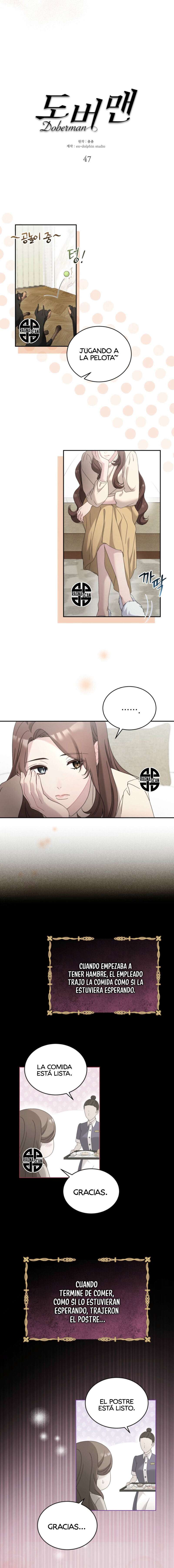 DOBERMAN Capítulo 47 - Página 5