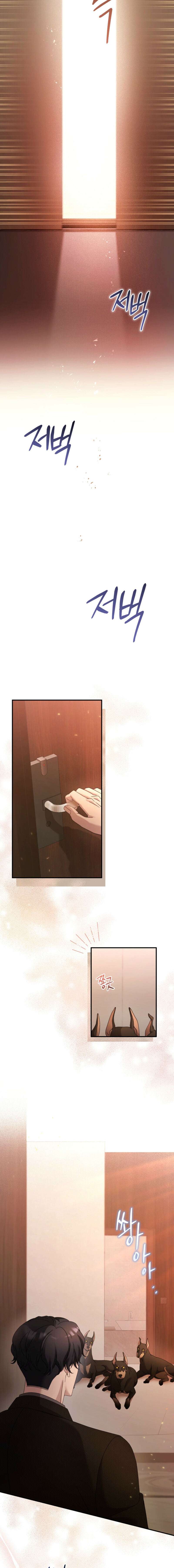 DOBERMAN Capítulo 52 - Página 17