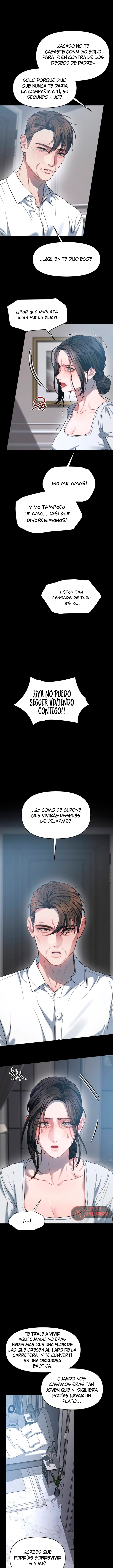 Anhelo Elegante – español Capítulo 102 - Página 10