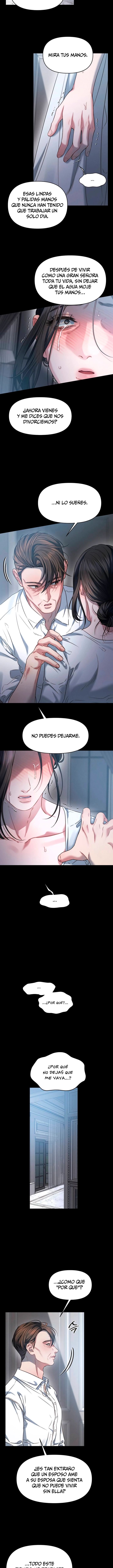 Anhelo Elegante – español Capítulo 102 - Página 11