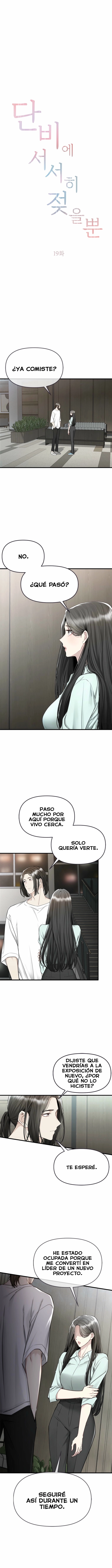 Empapandose Lentamente En La Dulce Lluvia Capítulo 19 - Página 3